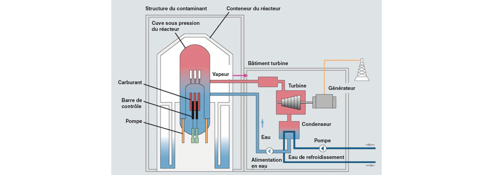 Les centrales nucléaires : réacteur à eau bouillante (REB)