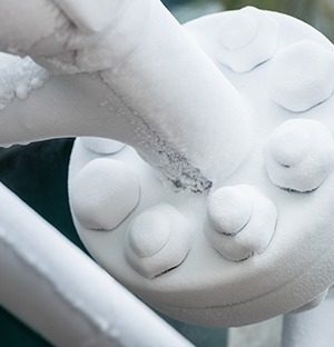 mesure-d-energie-froid-fr-en