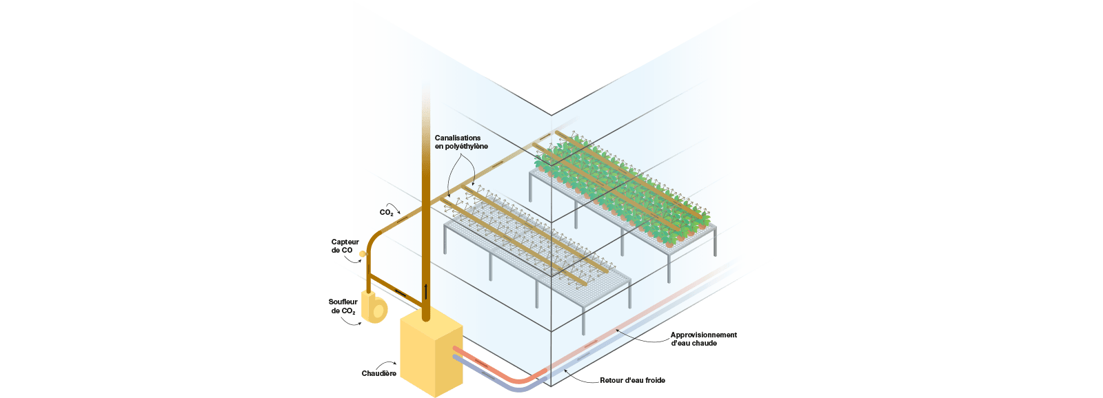 Principe de distribution du CO2 dans une serre - Schema