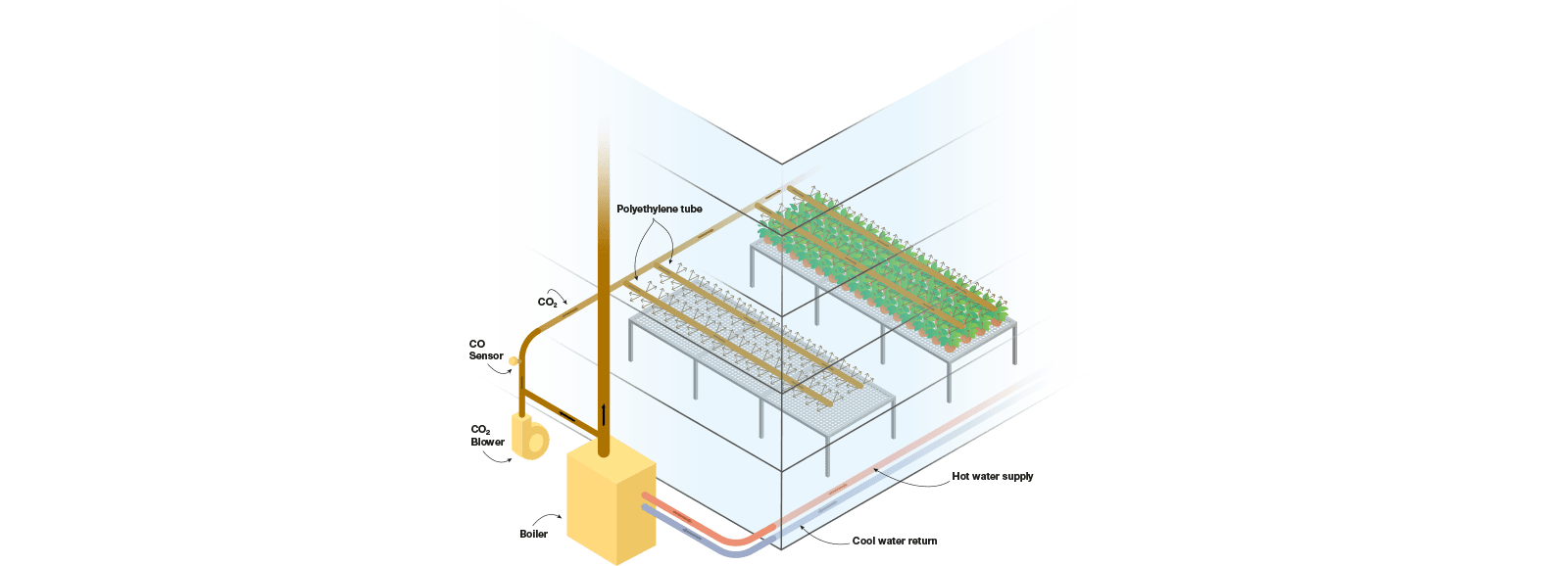 Prinzip der CO2-Verteilung in einem Gewächshaus - Schema