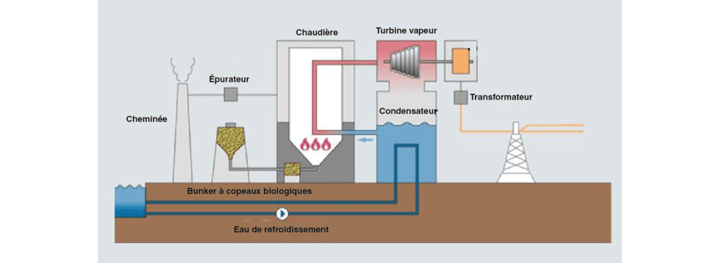 Production d'électricité - energie de la biomasse