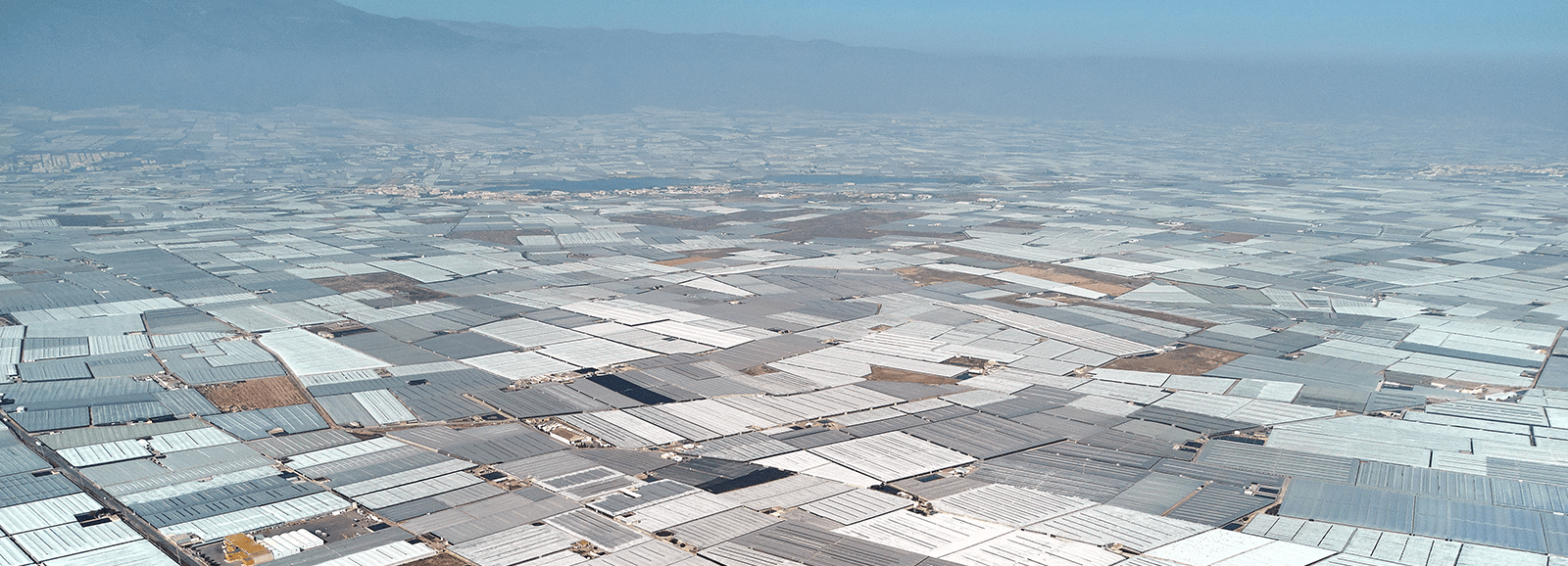 Serres en Espagne 