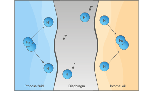 схема датчика стандарта действия водорода