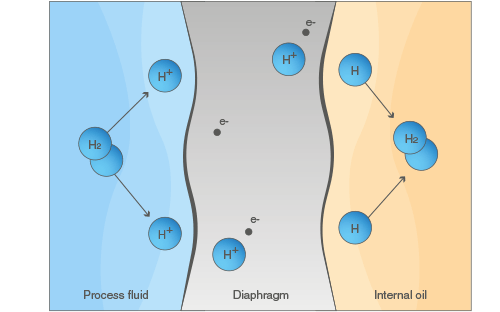 Wasserstoffaktion Standardkollektor Schema