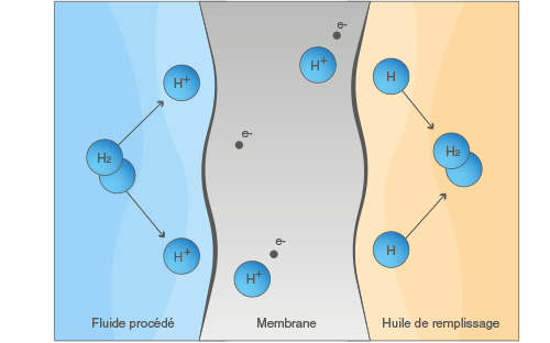 action hydrogene capteur standard schema
