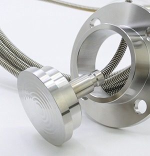 wide choice of process connections