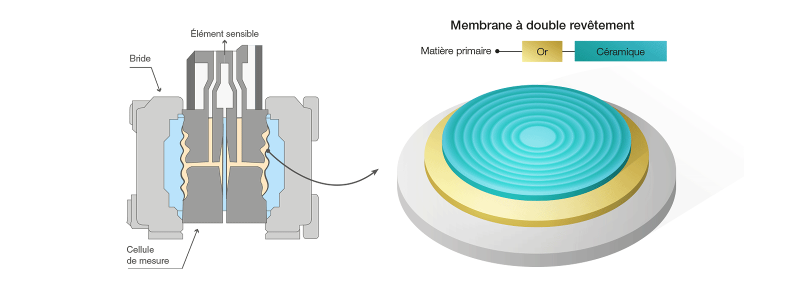 membrane capteur de pression pour hydrogene schema