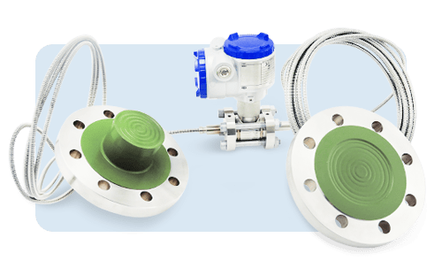 Level or differential density measurement with diaphragm seal PFA