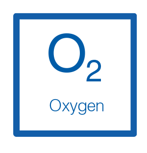 what-is-the-quantity-of-oxygen-dioxide-o2-in-biogas-en