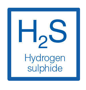 what-is-the-quantity-of-hydrogen-sulfide-h2s-in-biogas-en