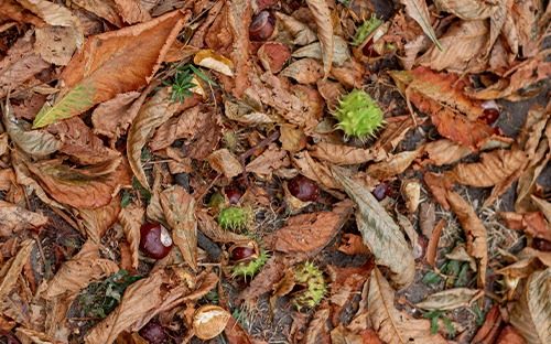 le difficoltà di misurazione del biogas