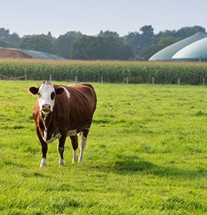 quels-sont-les-autres-proces-pour-produire-du-biogaz-fr-en