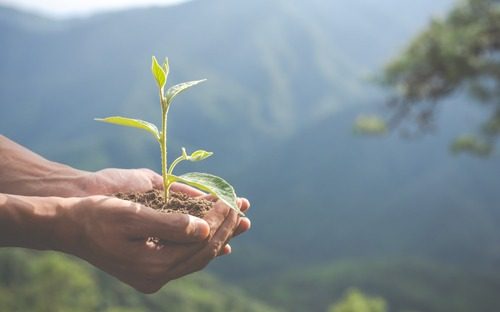 criar uma sociedade em harmonia com a natureza