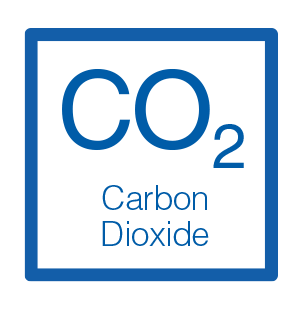 what-is-the-quantity-of-carbon-dioxide-co2-in-biogas-en