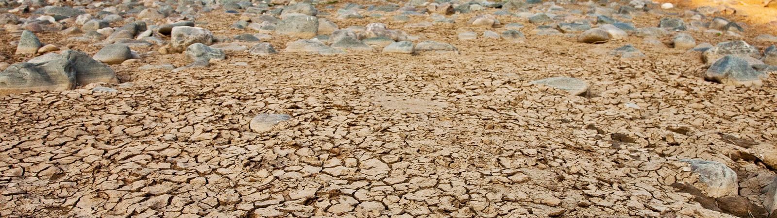 driving the transition to a circular economy water