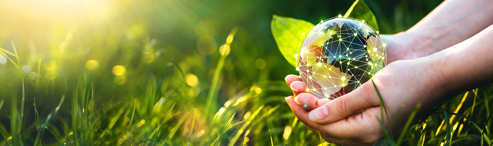 helping to protect the environment