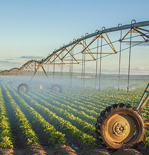 riego y agricultura