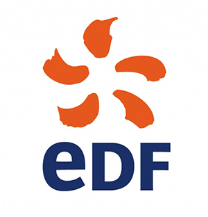Enerji ve nükleer sektöründeki şirketi temsil eden turuncu çiçek sembolü ve mavi harflerle yazılmış EDF logosu.