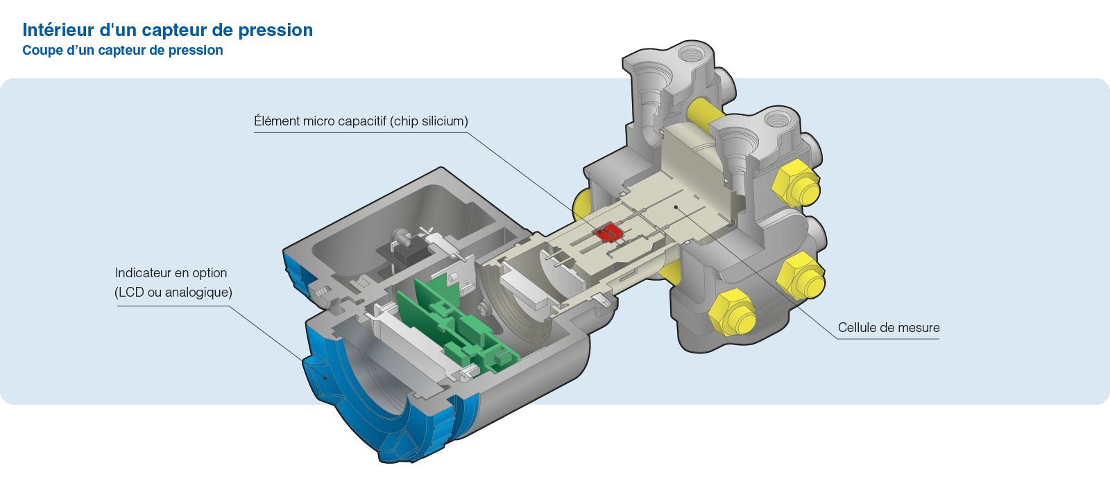 Vue en coupe interne d un capteur de pression avec cellule de mesure et capteur silicium micro capacitif