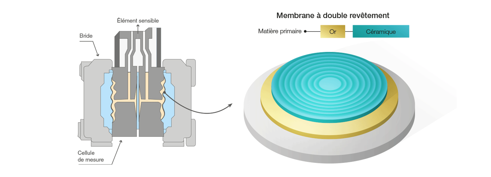 Esquema de un sensor de presión con célula de medición microcapacitiva y membrana de doble capa de oro y cerámica.