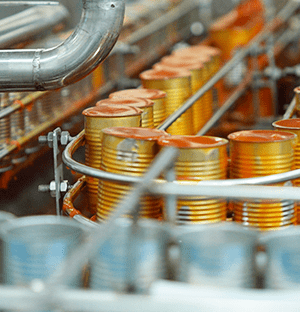 Industrielle Abfüllanlage für Blechdosen, die auf einem automatisierten Förderband im Werk transportiert werden